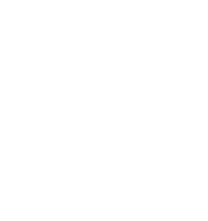 Eagle_Arms_f_logo