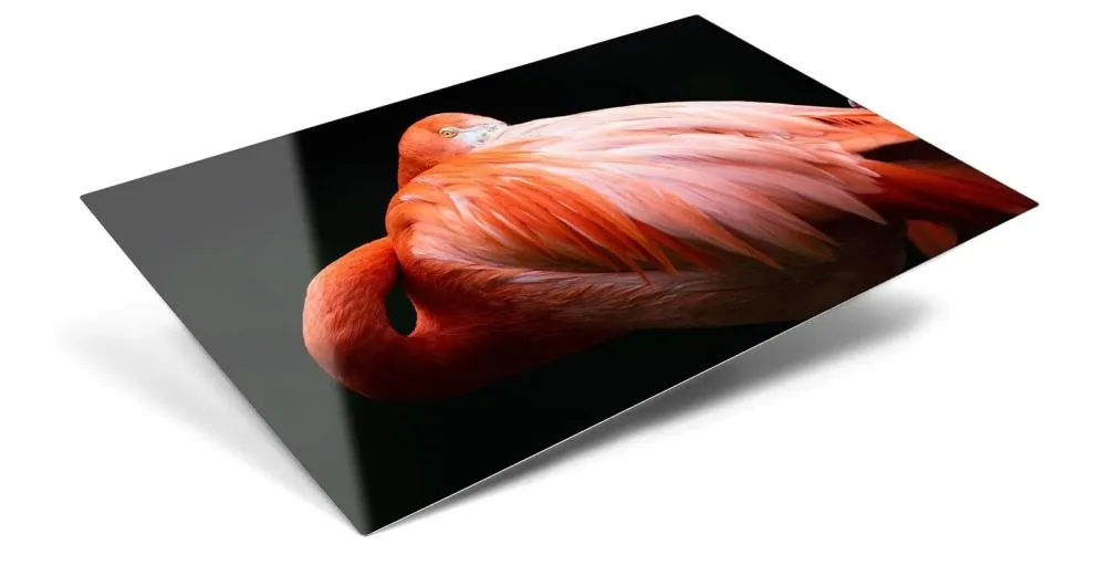  Metal Print Max Seeing is Believing