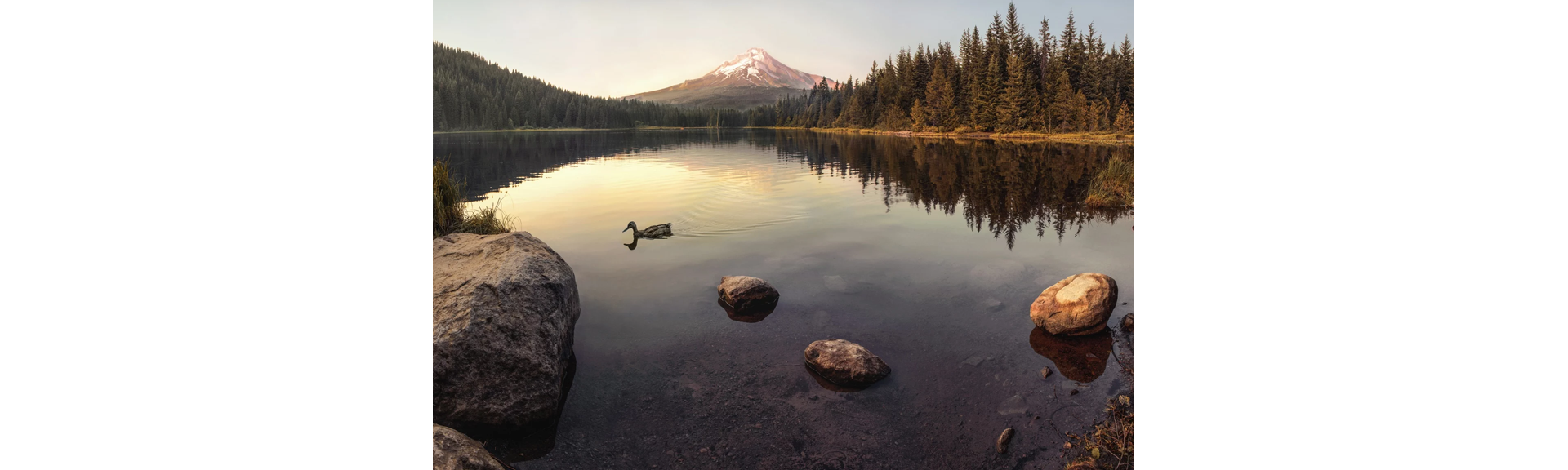 The Five Elements of Nature Photography Compositions