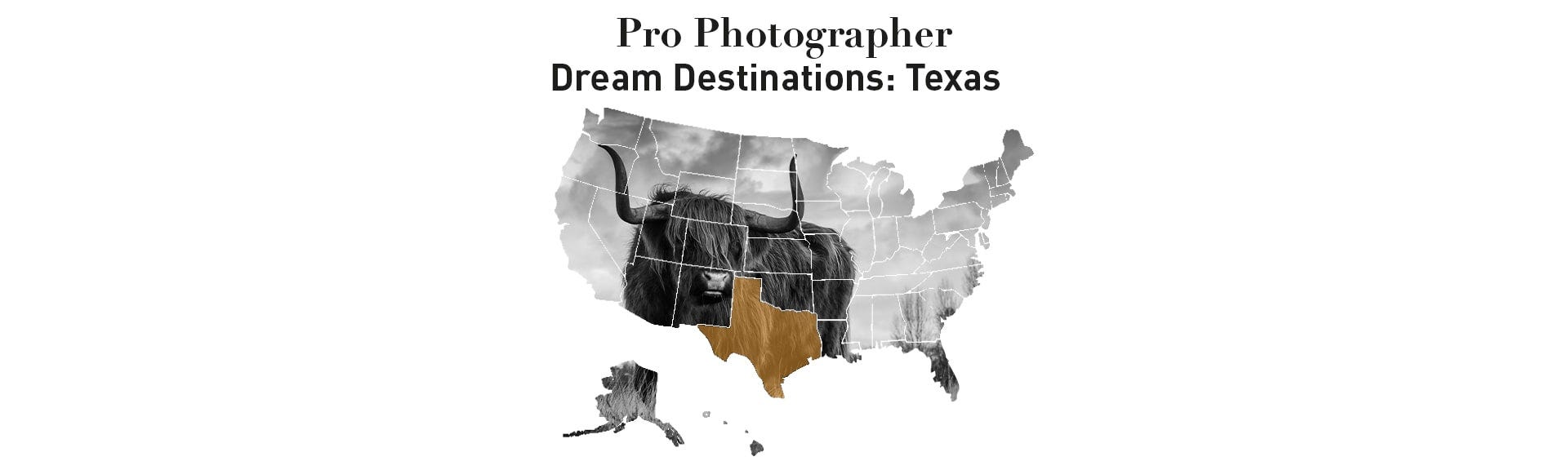 Pro Photographer Dream Destination Series: Texas