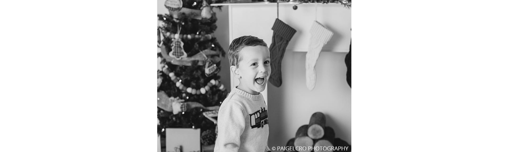 Unwrapping Success: Guide to Profitable Mini Sessions During the Holiday Season