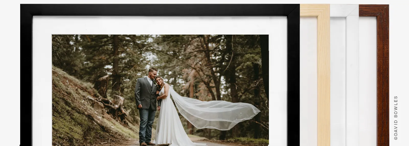 Standard Framed Prints