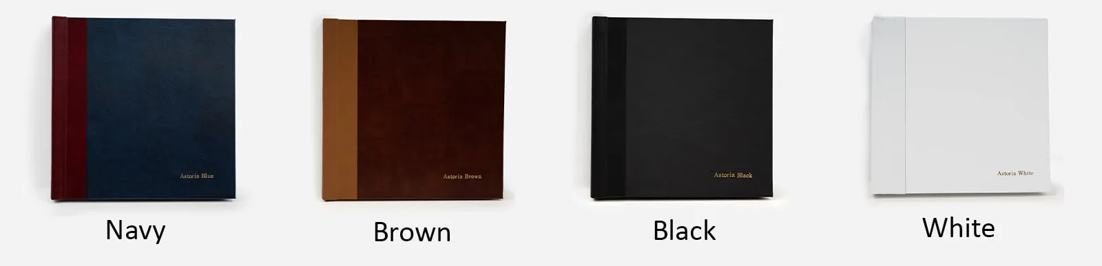 professional-photographer-albums
